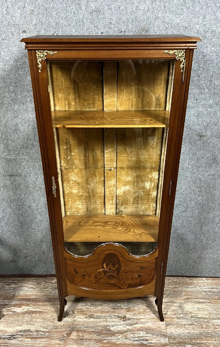 École de Nancy d'après Majorelle : superbe vitrine aux iris époque Art Nouveau fin XIXeme
